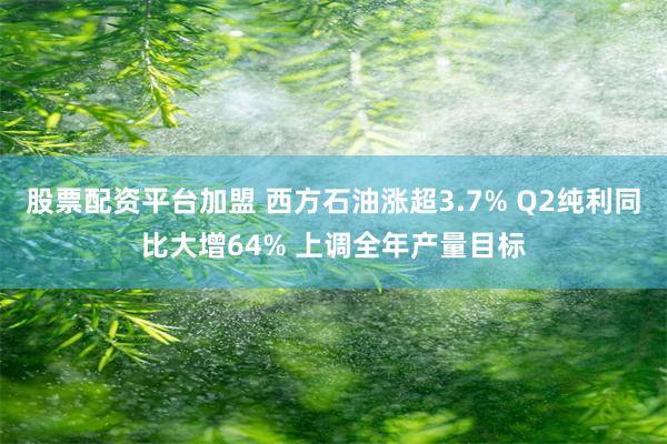 股票配资平台加盟 西方石油涨超3.7% Q2纯利同比大增64% 上调全年产量目标