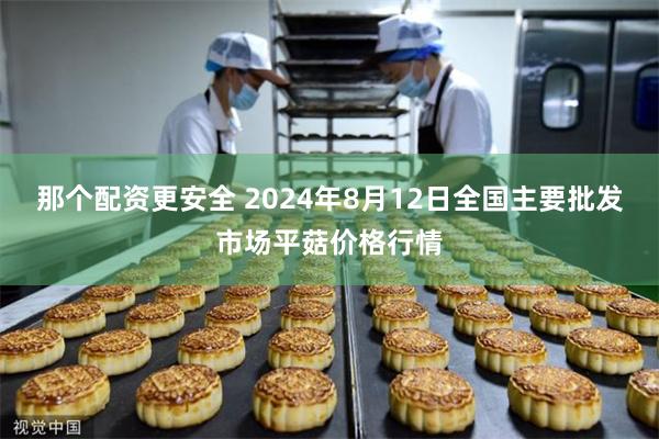 那个配资更安全 2024年8月12日全国主要批发市场平菇价格行情