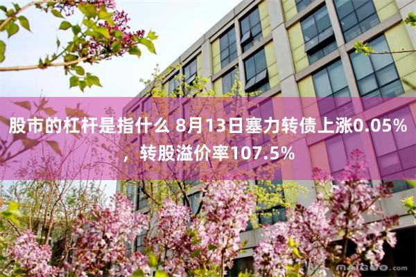 股市的杠杆是指什么 8月13日塞力转债上涨0.05%，转股溢价率107.5%