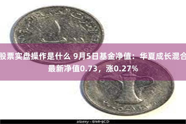 股票实盘操作是什么 9月5日基金净值：华夏成长混合最新净值0.73，涨0.27%