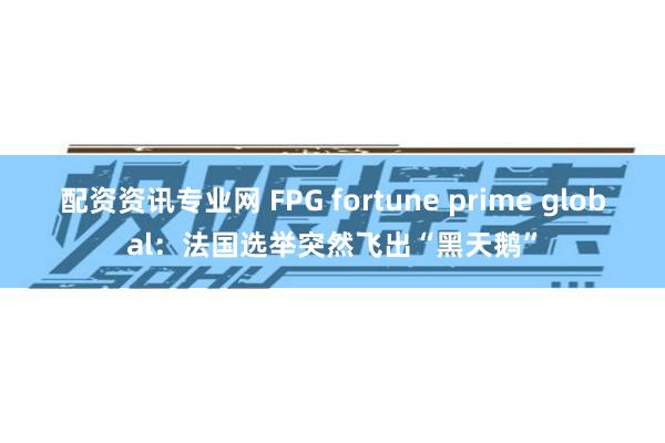 配资资讯专业网 FPG fortune prime global：法国选举突然飞出“黑天鹅”