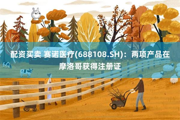 配资买卖 赛诺医疗(688108.SH)：两项产品在摩洛哥获得注册证