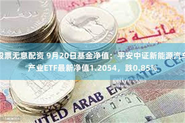 股票无息配资 9月20日基金净值：平安中证新能源汽车产业ETF最新净值1.2054，跌0.85%